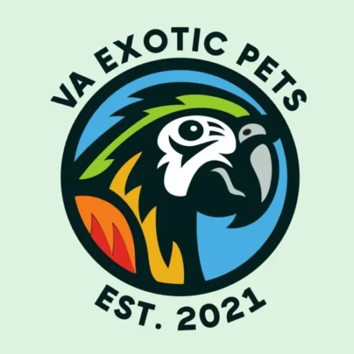 CA EXOTICS