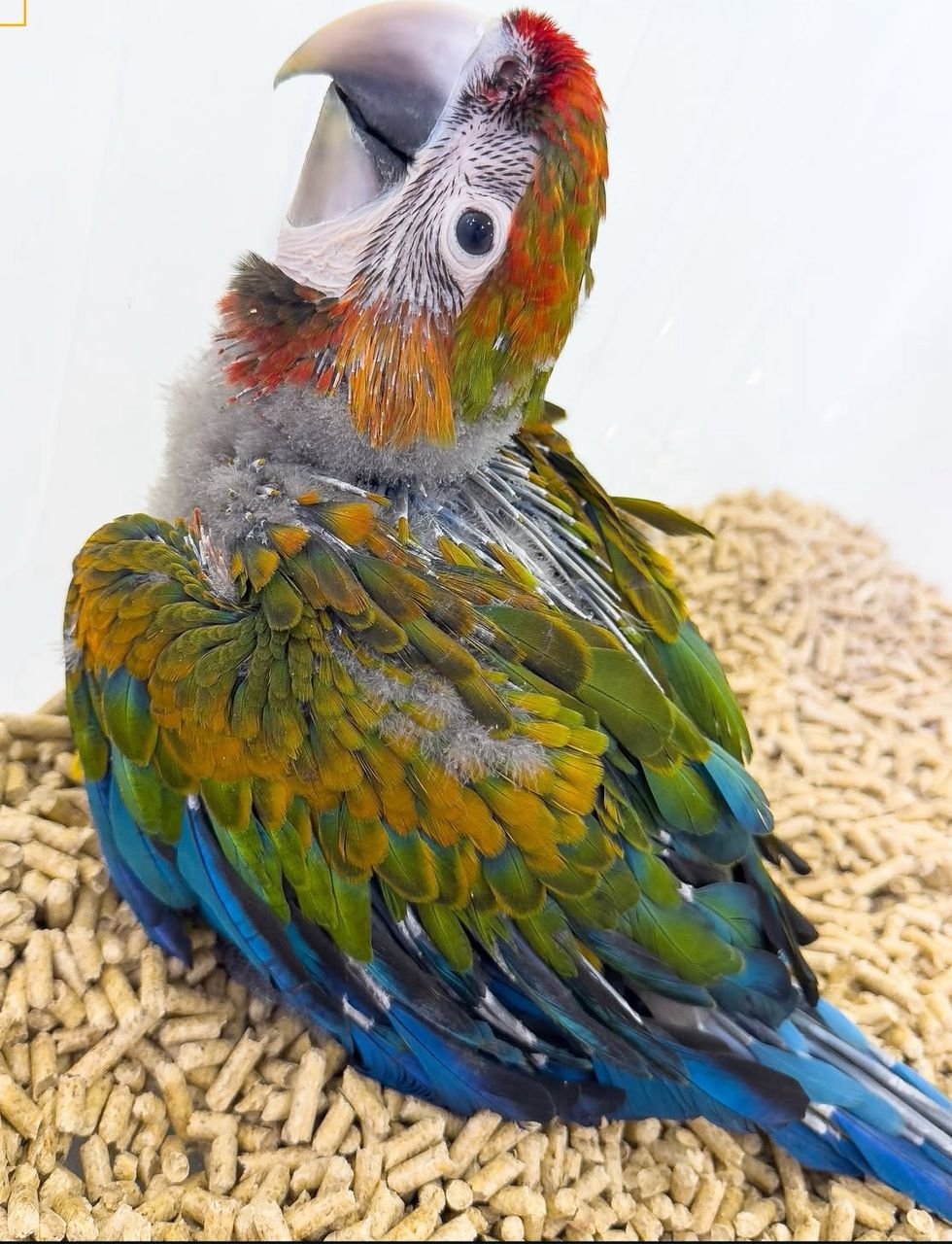 WhatsApp Image 2025-09-22 at 14.11.24_ec720180